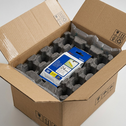 Brother TZe-S251 24mm tape cassette inside a cardboard shipping box with protective molded pulp.